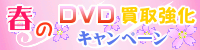 tDVD拭Ly[